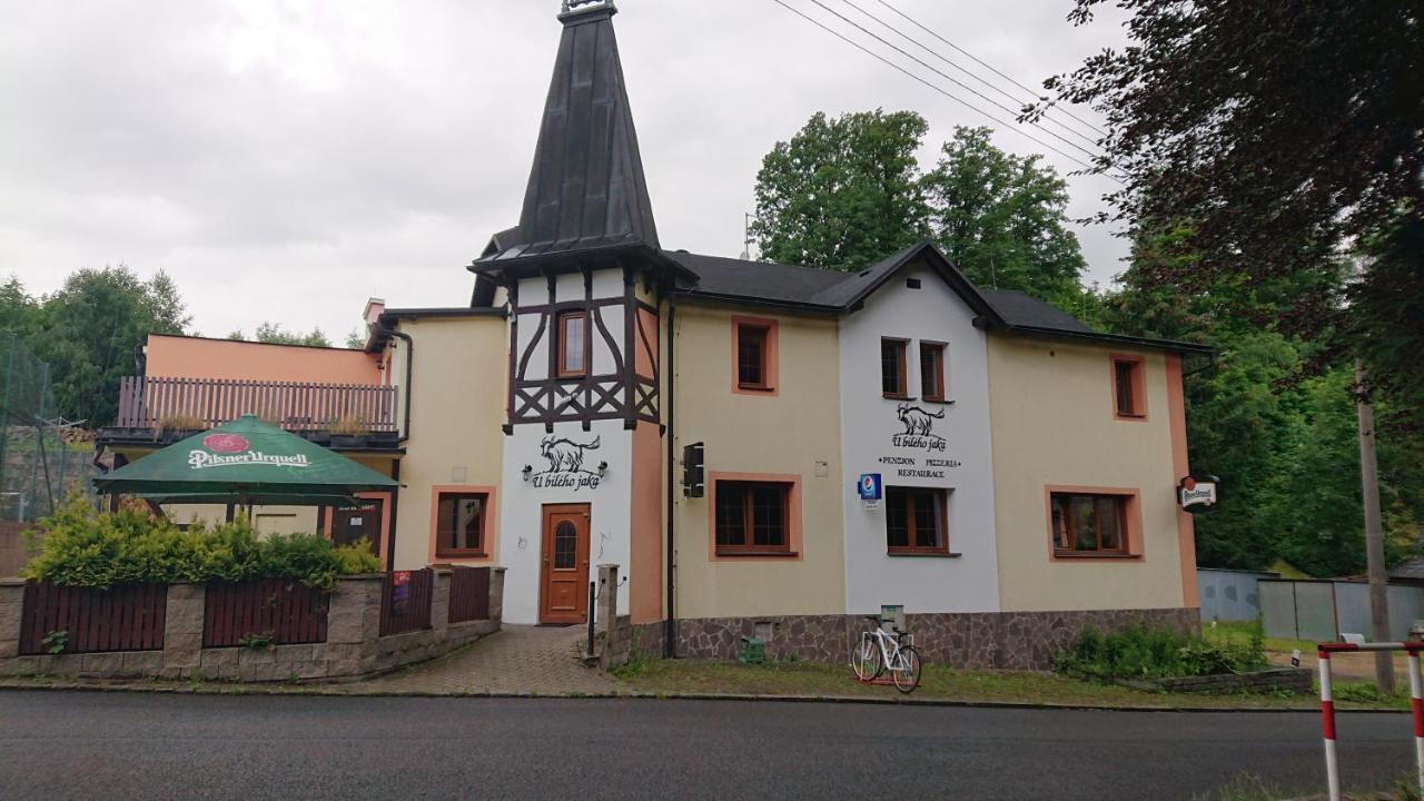 Penzion U Bileho Jaka Vilemov  Exterior foto